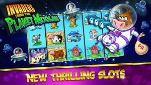 shwe8 Sportsbook မြန်မာ ဘောလုံးပွဲ လောင်းကြေး